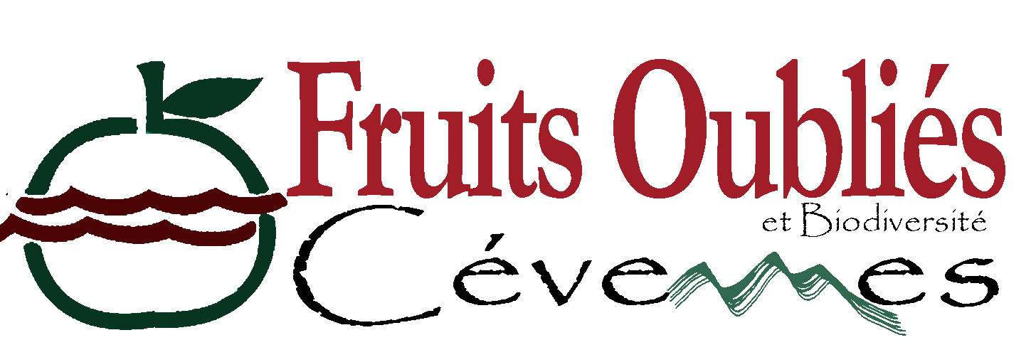 Logo Fruits Oubliés et Biodiversité en Cévennes