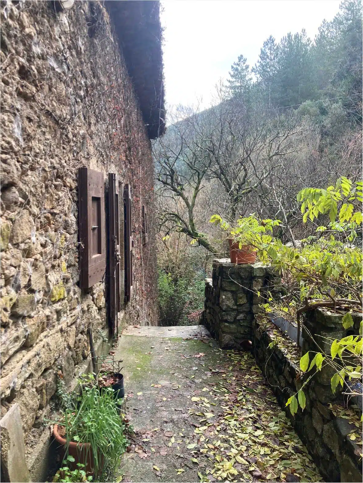 Architecture traditionnelle en pierre de la Ferme du Cambon - mur de pierres sèches et porte en bois