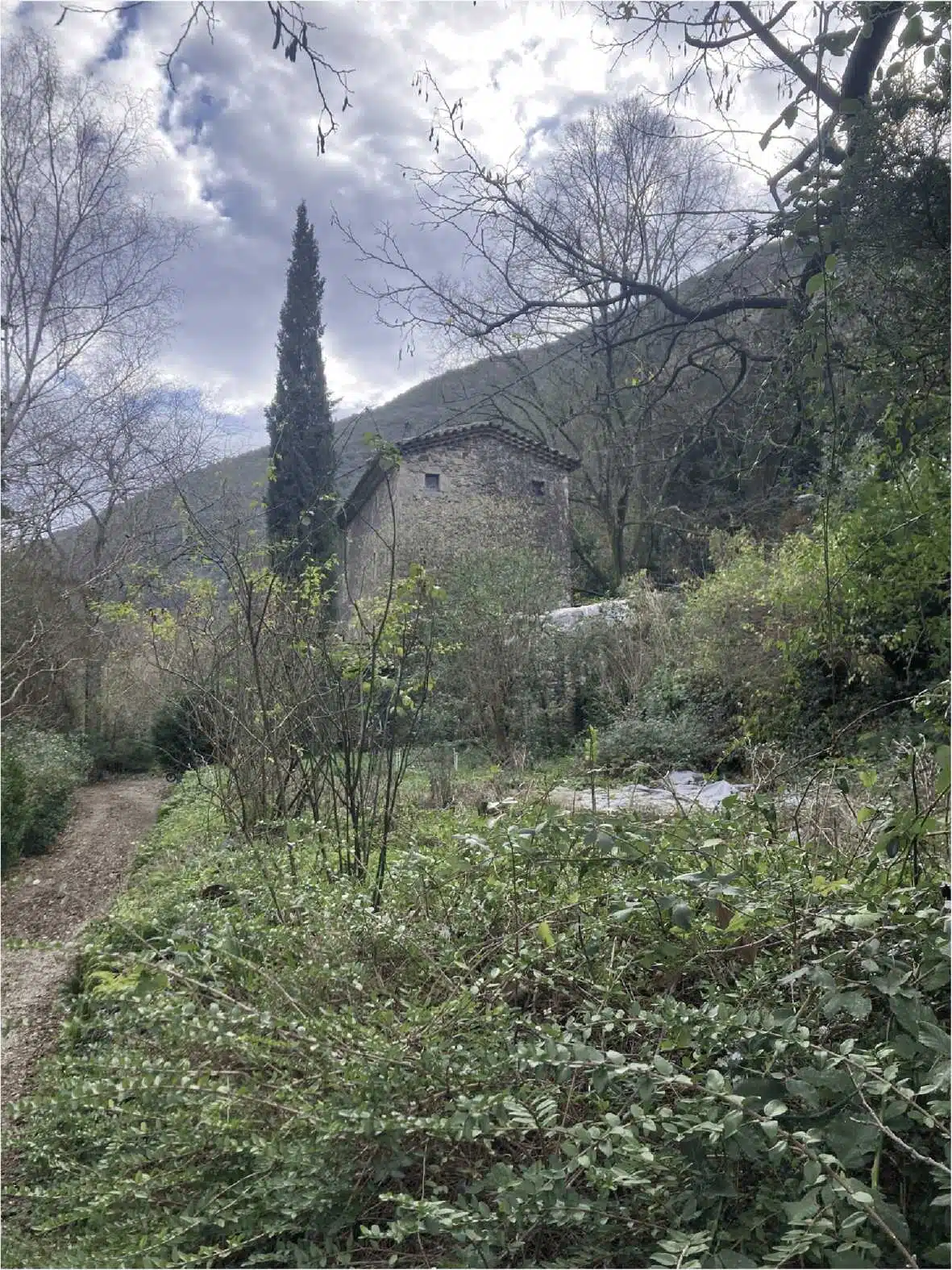 Bâtisse cévenole en pierre de la Ferme du Cambon avec son cyprès à Mialet (Gard)